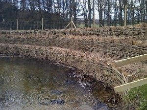 Bespoke Willow Spiling Erosion Control - EcoEireann